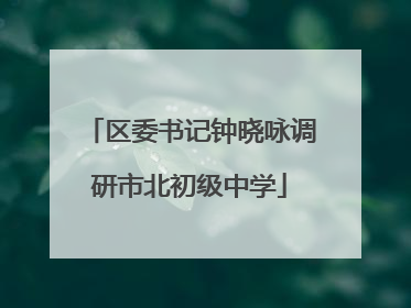 区委书记钟晓咏调研市北初级中学