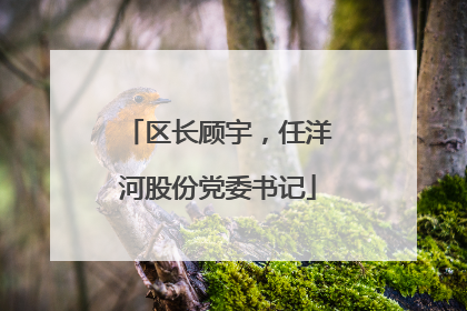 区长顾宇，任洋河股份党委书记