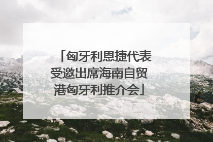 匈牙利恩捷代表受邀出席海南自贸港匈牙利推介会