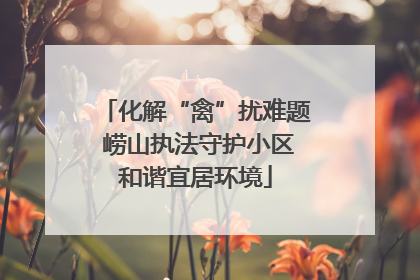 化解“禽”扰难题 崂山执法守护小区和谐宜居环境