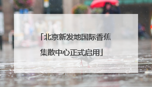 北京新发地国际香蕉集散中心正式启用