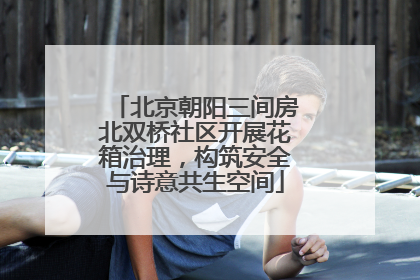 北京朝阳三间房北双桥社区开展花箱治理，构筑安全与诗意共生空间
