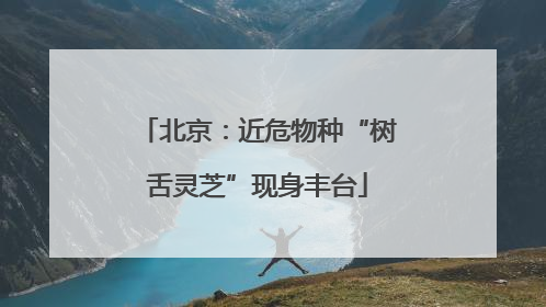 北京：近危物种“树舌灵芝”现身丰台