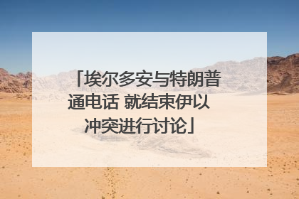 埃尔多安与特朗普通电话 就结束伊以冲突进行讨论