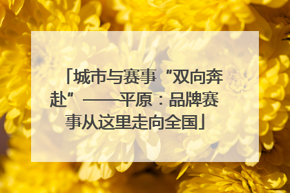 城市与赛事“双向奔赴”——平原：品牌赛事从这里走向全国