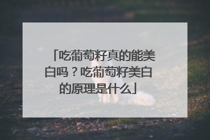吃葡萄籽真的能美白吗？吃葡萄籽美白的原理是什么