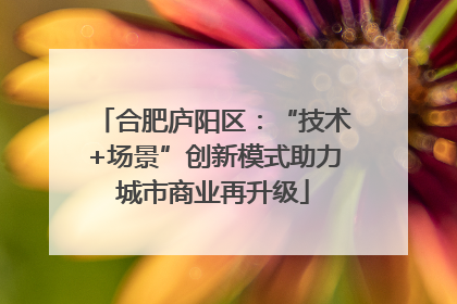 合肥庐阳区：“技术+场景”创新模式助力城市商业再升级