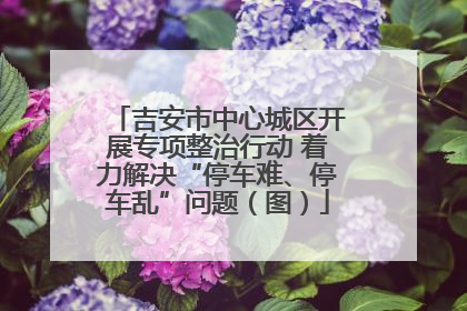 吉安市中心城区开展专项整治行动 着力解决“停车难、停车乱”问题（图）