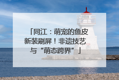 同江：萌宠的鱼皮新装刷屏！非遗技艺与“萌态跨界”
