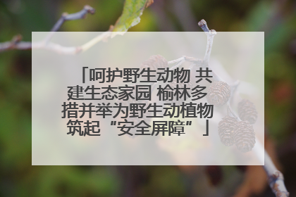呵护野生动物 共建生态家园 榆林多措并举为野生动植物筑起“安全屏障”