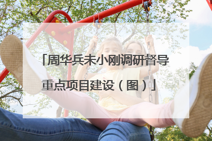 周华兵未小刚调研督导重点项目建设（图）