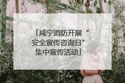 咸宁消防开展“安全宣传咨询日”集中宣传活动