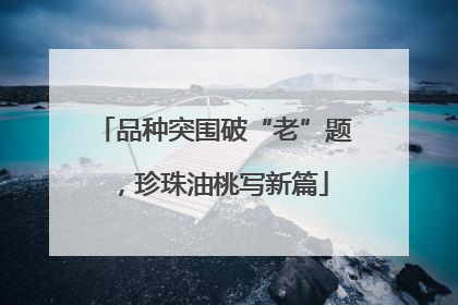 品种突围破“老”题，珍珠油桃写新篇