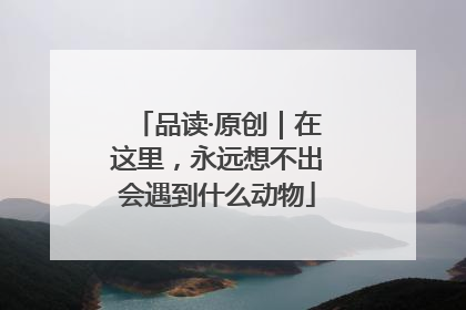 品读·原创｜在这里，永远想不出会遇到什么动物