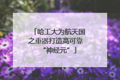 哈工大为航天国之重器打造高可靠“神经元”
