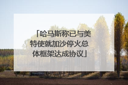 哈马斯称已与美特使就加沙停火总体框架达成协议