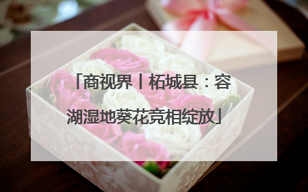 商视界丨柘城县：容湖湿地葵花竞相绽放