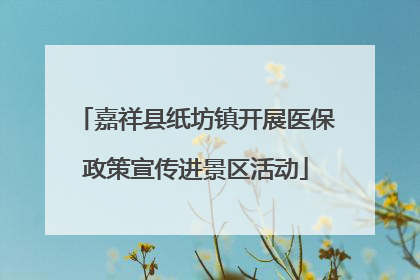嘉祥县纸坊镇开展医保政策宣传进景区活动