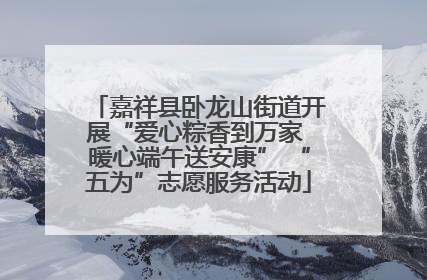 嘉祥县卧龙山街道开展“爱心粽香到万家 暖心端午送安康” “五为”志愿服务活动