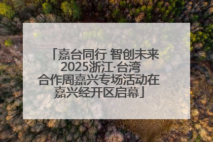 嘉台同行 智创未来 2025浙江·台湾合作周嘉兴专场活动在嘉兴经开区启幕