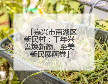 嘉兴市南湖区新民村：千年兴善焕新颜、至美新民展画卷