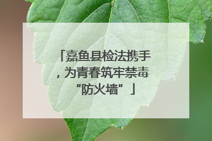 嘉鱼县检法携手，为青春筑牢禁毒“防火墙”