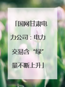 国网甘肃电力公司：电力交易含“绿”量不断上升