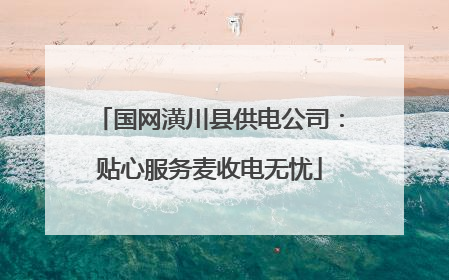 国网潢川县供电公司：贴心服务麦收电无忧