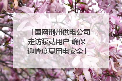 国网荆州供电公司走访泵站用户 确保迎峰度夏用电安全