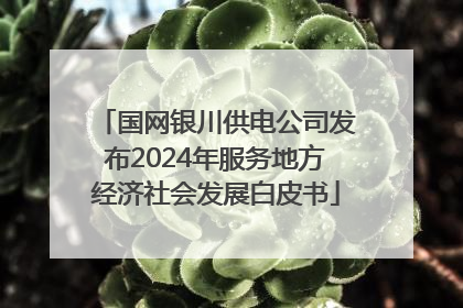 国网银川供电公司发布2024年服务地方经济社会发展白皮书