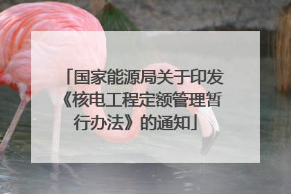 国家能源局关于印发《核电工程定额管理暂行办法》的通知