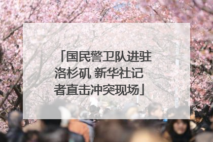 国民警卫队进驻洛杉矶 新华社记者直击冲突现场