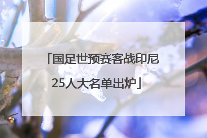 国足世预赛客战印尼25人大名单出炉