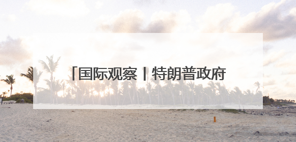 国际观察丨特朗普政府接受豪华赠机引发争议