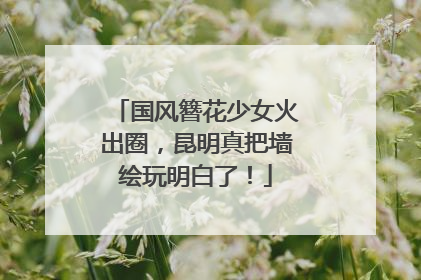 国风簪花少女火出圈，昆明真把墙绘玩明白了！
