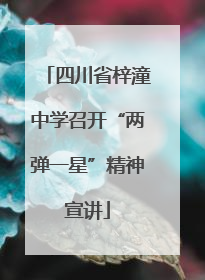 四川省梓潼中学召开“两弹一星”精神宣讲