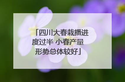 四川大春栽播进度过半 小春产量形势总体较好