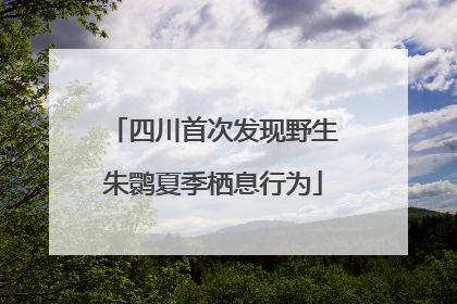 四川首次发现野生朱鹮夏季栖息行为