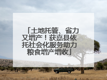土地托管、省力又增产！获嘉县依托社会化服务助力粮食增产增收