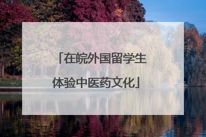 在皖外国留学生体验中医药文化