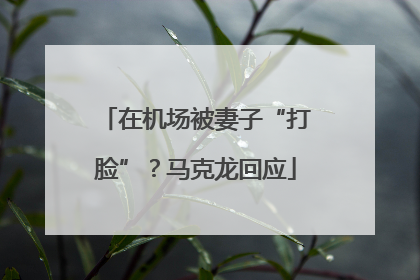 在机场被妻子“打脸”？马克龙回应