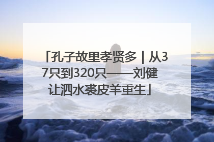 孔子故里孝贤多｜从37只到320只——刘健让泗水裘皮羊重生