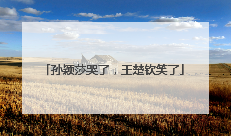 孙颖莎哭了，王楚钦笑了