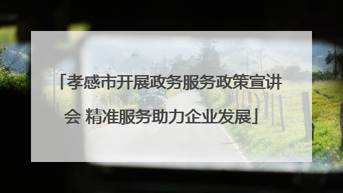 孝感市开展政务服务政策宣讲会 精准服务助力企业发展