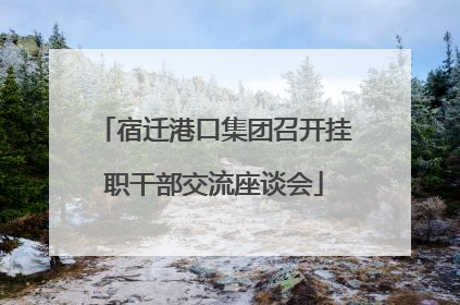 宿迁港口集团召开挂职干部交流座谈会