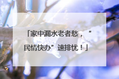 家中漏水老者愁，“民情快办”速排忧！