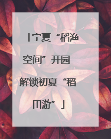 宁夏“稻渔空间”开园 解锁初夏“稻田游”