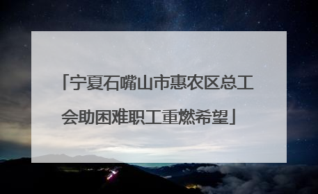 宁夏石嘴山市惠农区总工会助困难职工重燃希望