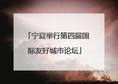 宁夏举行第四届国际友好城市论坛