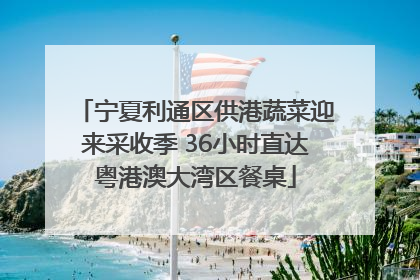 宁夏利通区供港蔬菜迎来采收季 36小时直达粤港澳大湾区餐桌